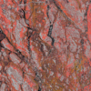 Gem Crimson Satin Glass Slab 47