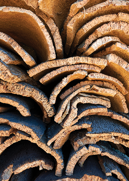 Habitus Designer Cork Flooring